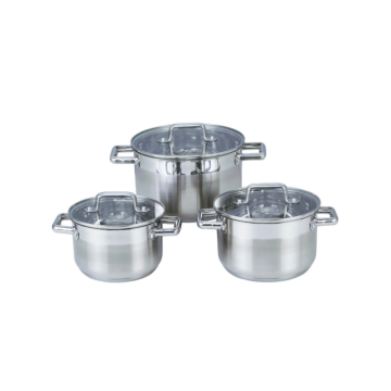 Stainless steel soup pot with double handle