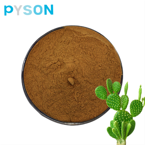 Cactus Extract powder