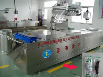 Green Bean Automatic Vacuum Packing Machine