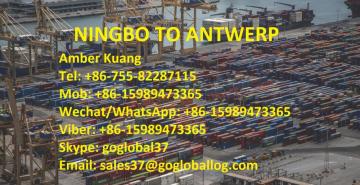 Zhejiang Ningbo Sea Freight to Belgium Antwerp