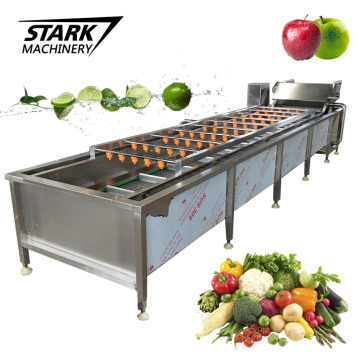 Stainless Steel 304 Food Grade Vegetable and Fruit Washing Machine Manufacturer