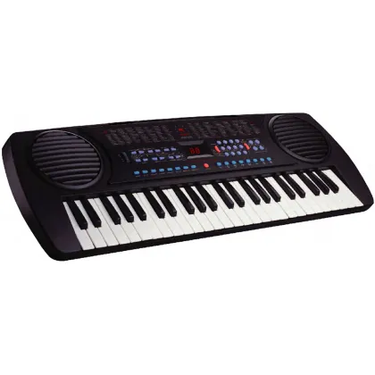 Factory Direct Supplier: Original Brand New 54 Keys Electronic Keyboard Instruments Organ Keyboard Instruments Electronic Organ