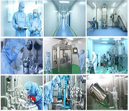 Herbal Tea Powder Honeysuckle flower Extract powder