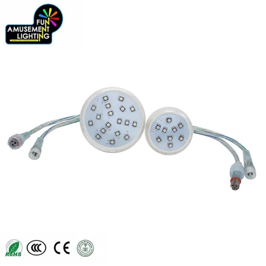 Programmable LED Modules for Outdoor Amusement Lighting