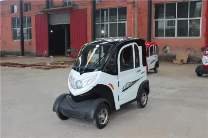 Air conditioned electric vehicle