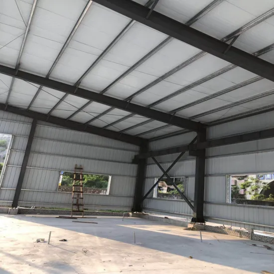 best Steel Structure Hangar Warehouse Building