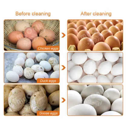 Industrial Chicken Egg Clean Machine: Salted Duck Egg Wash Machine for Sale