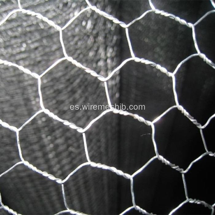 Malla de alambre hexagonal galvanizada sumergida caliente de 1mx50m