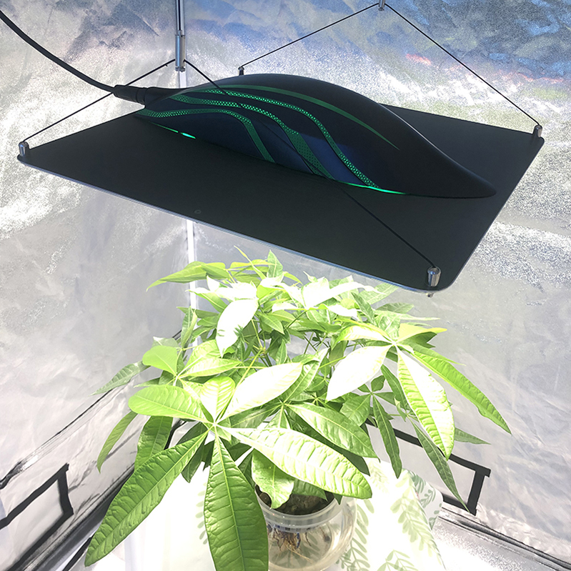 320w Grow Light 26