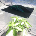 PVISUNG Quantum Board Grow