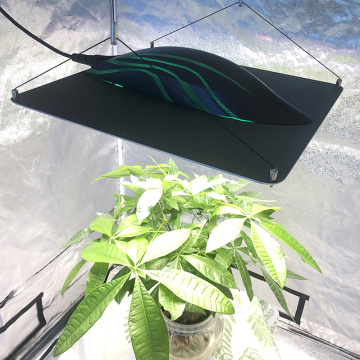 Pvisung Quantum Board Grow