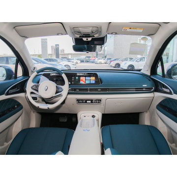 New energy small electric vehicle ora cat