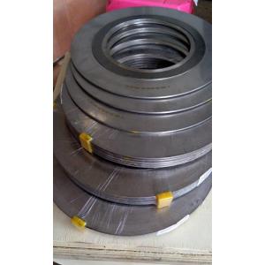 304/316 Graphite Spiral Wound Gaskets