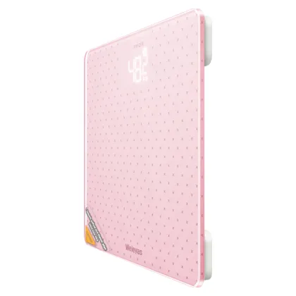 electronic weigh scale