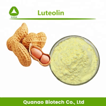 Anti-inflammatory Peanut Shell Extract Luteolin 98% Powder