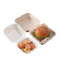 Compostable Pulp Takeaway Box for Burger, Bento & Dessert