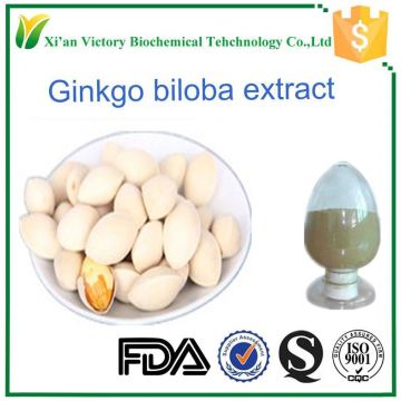 Hot selling Ginkgo biloba seed powder extract