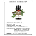 Therapeutic Grade Spruce Essential Oil For Skin Care