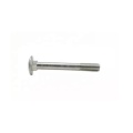 Carriage bolts 304 stainless steel DIN603 Carriage bolts