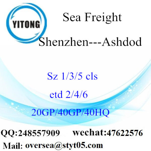 Shenzhen Port Sea Freight Shipping Para Ashdod