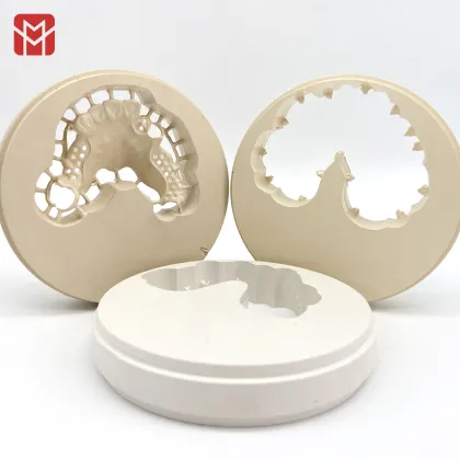Guangdong MOLAN Dental Implants and Consumables: PEEK Block Materials