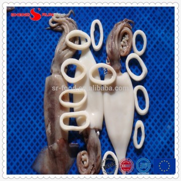 IQF U10 Pacific squid tube
