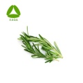 Bakuchiol 98% 100% Pure Natural Rosemary Extract Rosemary Essence Oil Manufactory