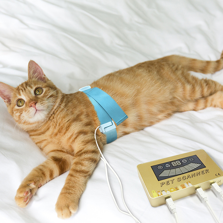 Pet Quantum Veterinary Detecting Animal's Body Health Device