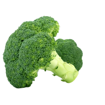 Extrait naturel de brocoli Poudre de sulforaphane