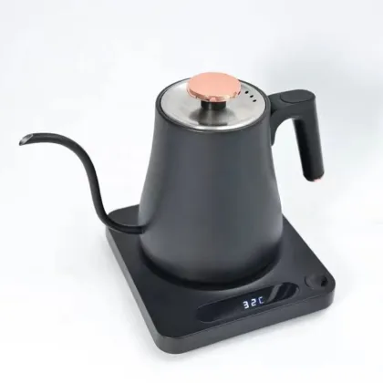 Customized Brand Electric Kettle with Gooseneck Spout