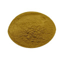 Magnolia Officinalis Extract Powder
