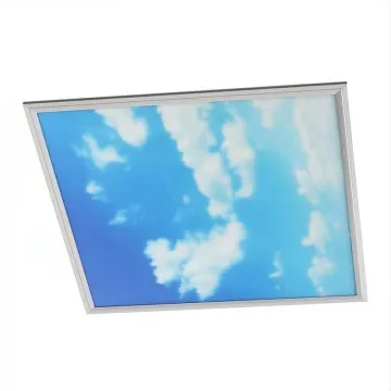 Jiaxing Factory LED Flat Skylight Panel Lamp
