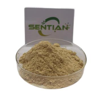 Okra seed extract powder Water soluble Okra extract