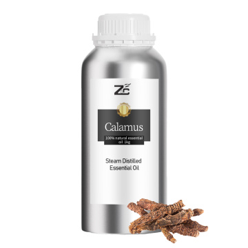 Aceite esencial de calamus con aceite de calamus de alta calidad