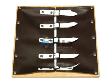 Montessori Buckles Dressing Frame