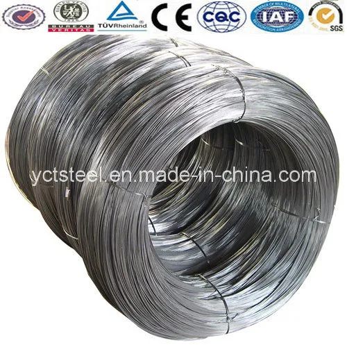 Spring Steel Wire 201, 304