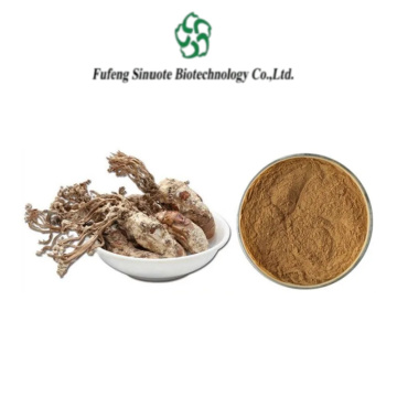 Natural Cordyceps Cicadae Fruiting Body Powder for Immunity Boost