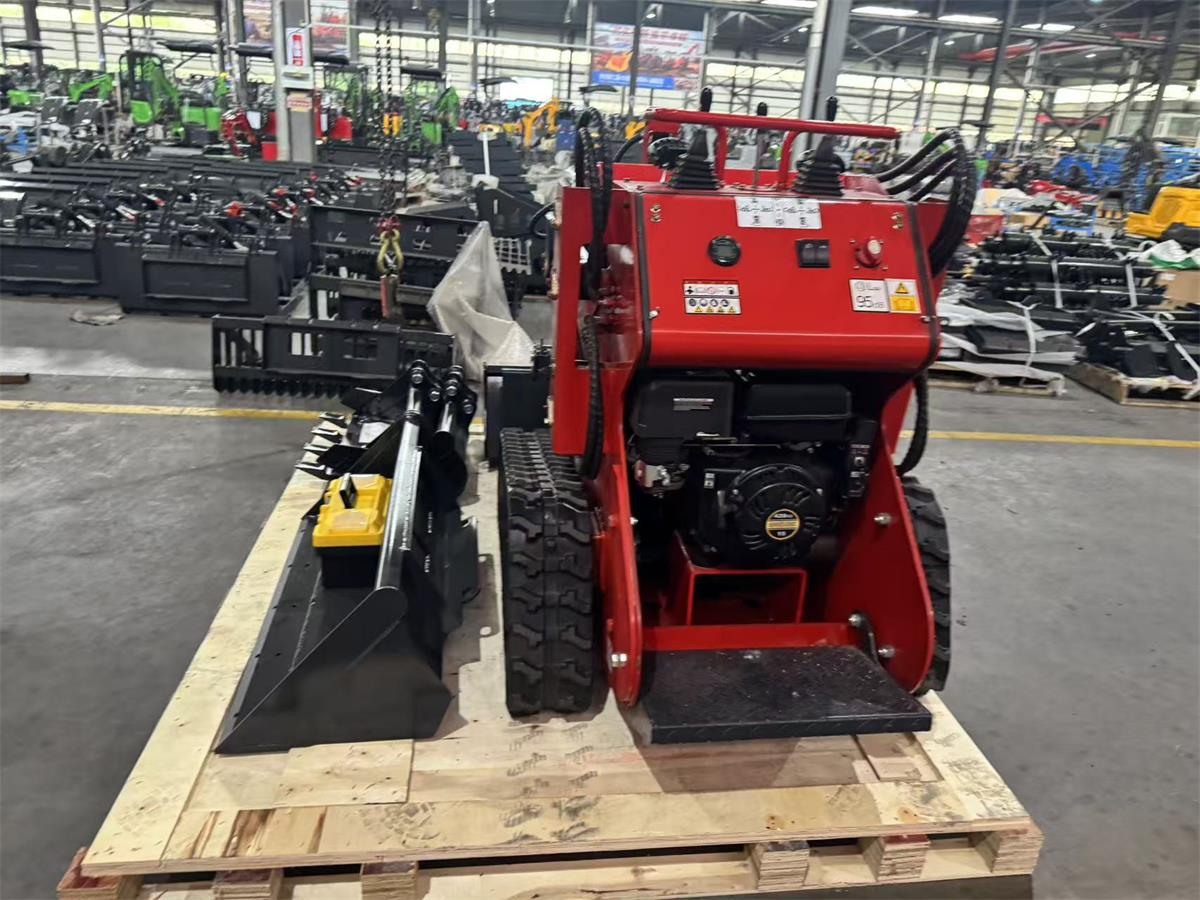 Kompaktlader-2 skid steer loader-2