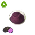 Freeze Dried Purple Yam Ube Extract Powder