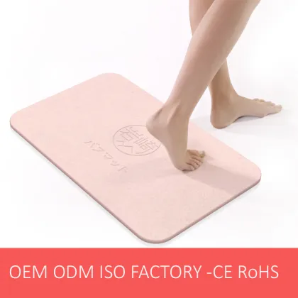 Water Fast Drying Non-slip Diatom Bath Mat