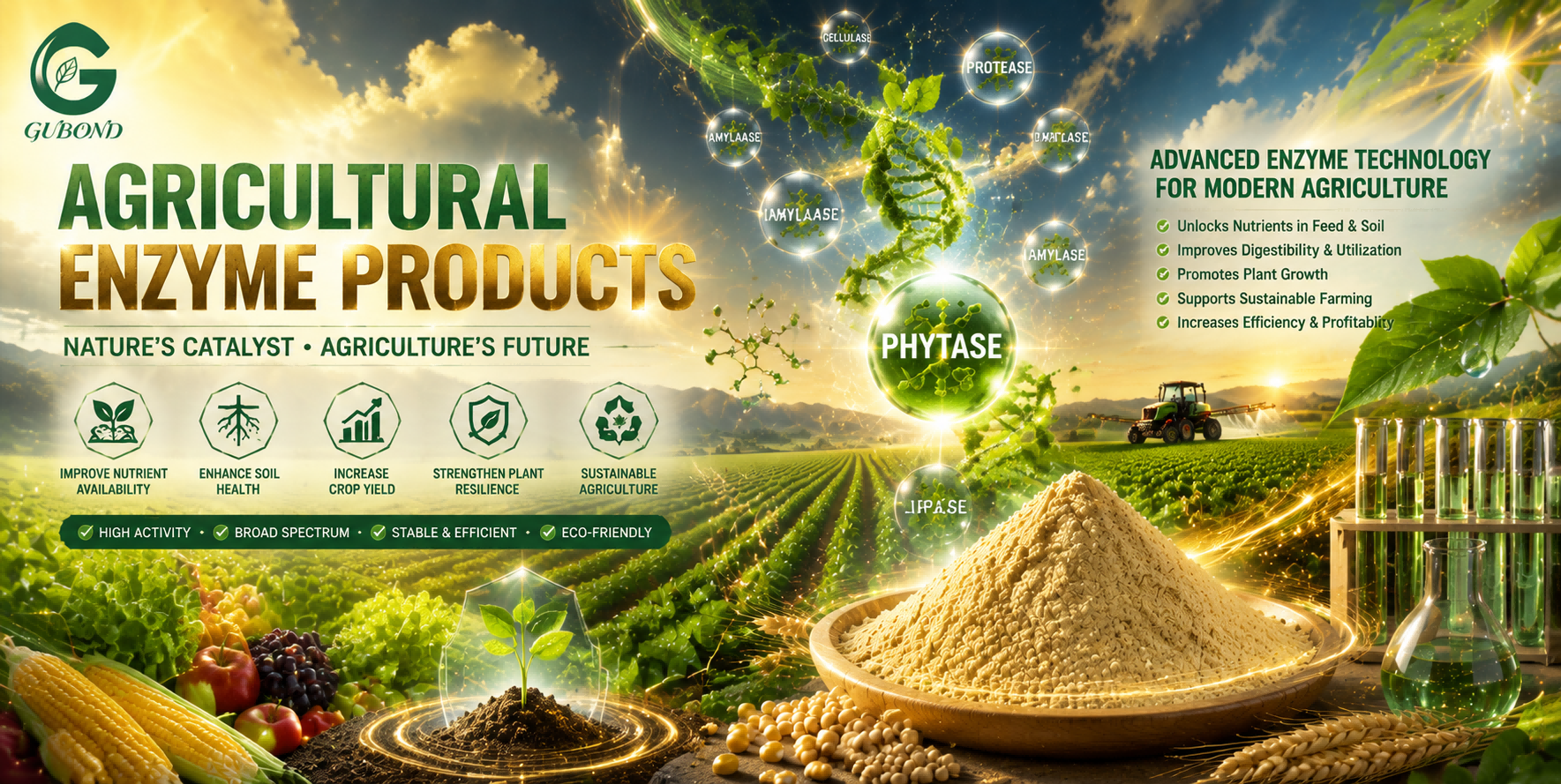 Agricultural enzyme products