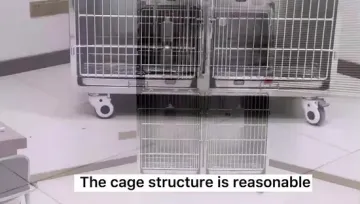 Stainless Steel Vet Cage for Pet Recovery Needs