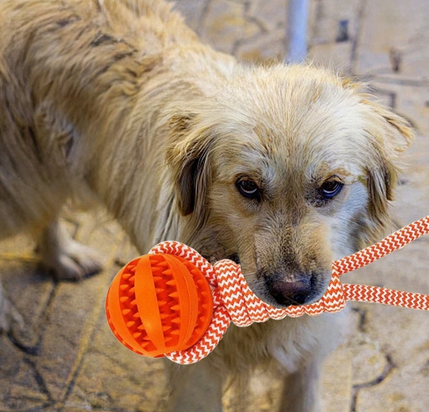 Rope Tugging & Ball Chew Dog Toy