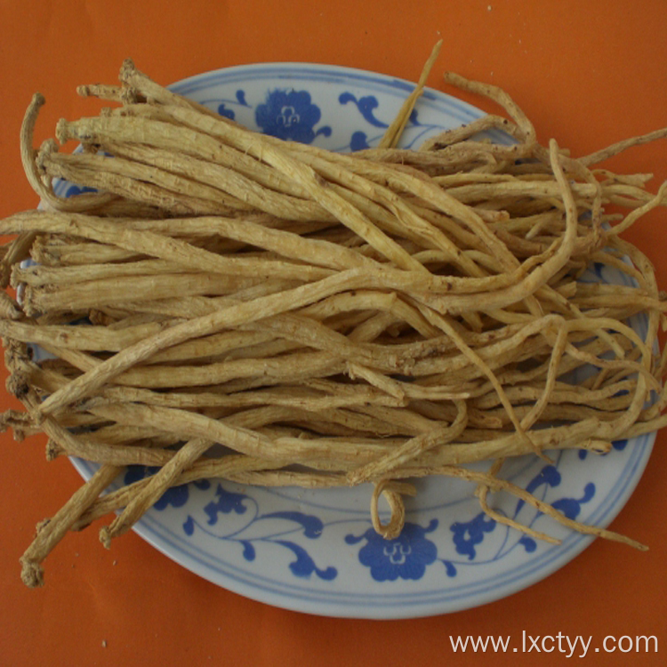 codonopsis pilosula health tea