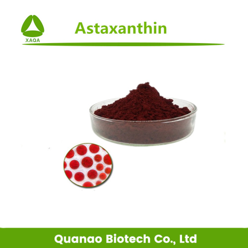 Haematococcus pluvialis extrait astaxanthine 3% de poudre