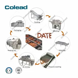 Palm Dates Cleaning and Packing Line
