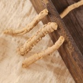 Calming Herbal Root for Natural Relaxation