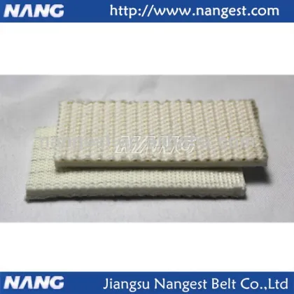 Canvas Conveyor Belt (Nylon/EP/Cotton)