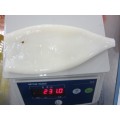 /msite/products/detail/productid/63014544/id/1343744.html