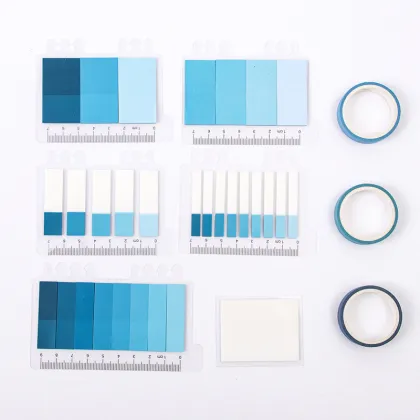 STICKY NOTES WITH DIFFERENT STICKY